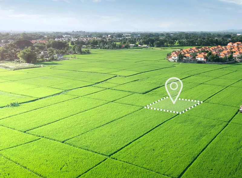 Mapa do celów projektowych - co trzeba o niej wiedzieć?